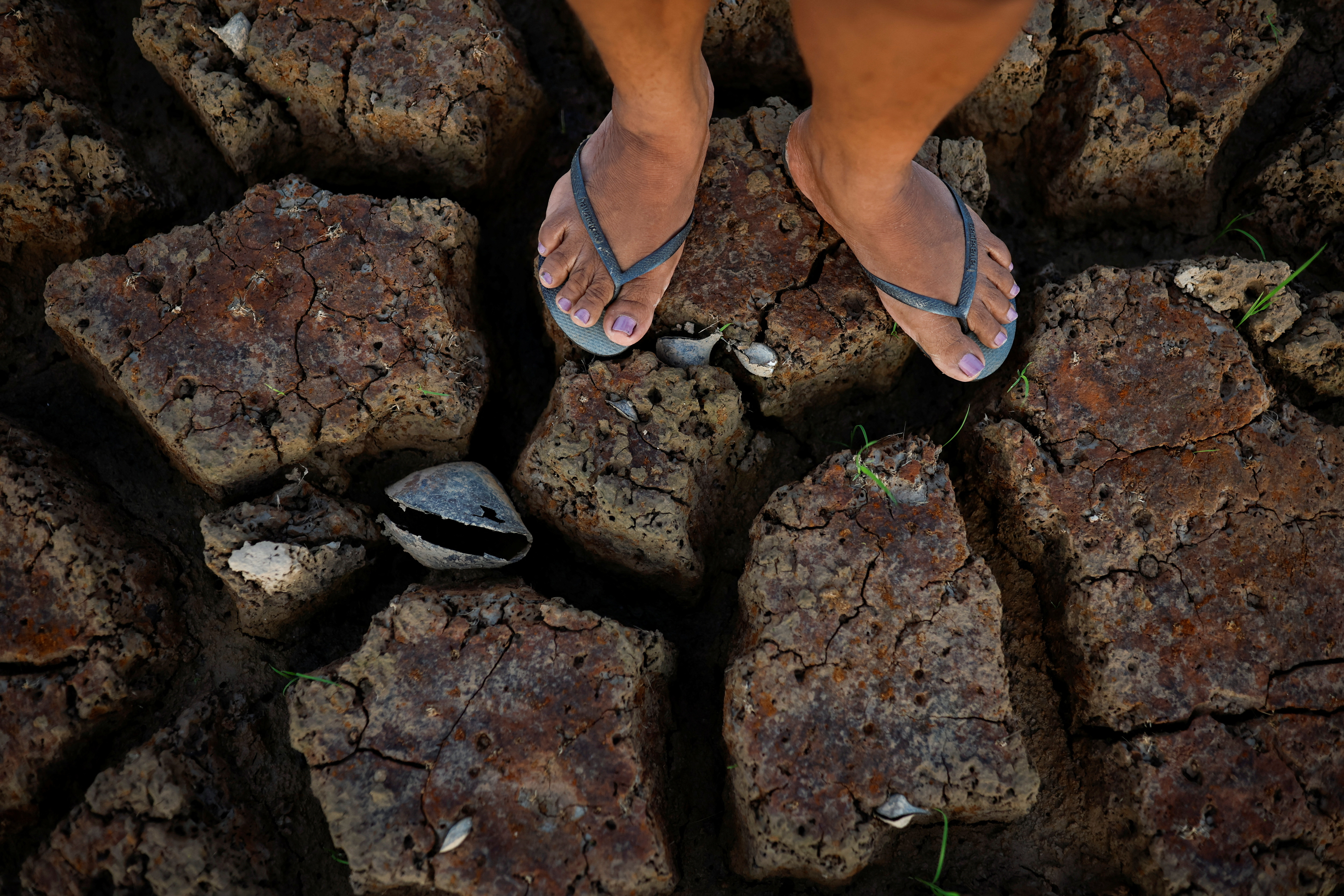 A woman stands on the dry bed of a Tapajos river during the intense drought that hit the Amazon this year. /Amanda Perobelli/Reuters