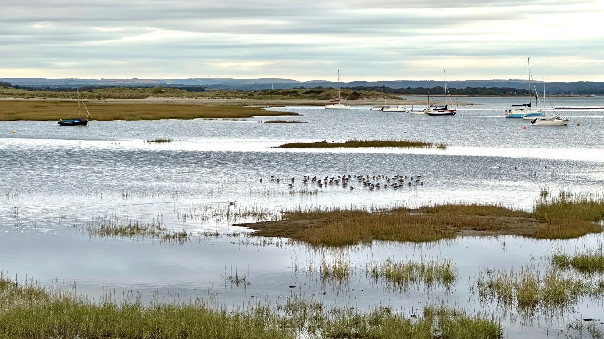 A nature reserve on the Sussex coast. /Kitty Logan/CGTN