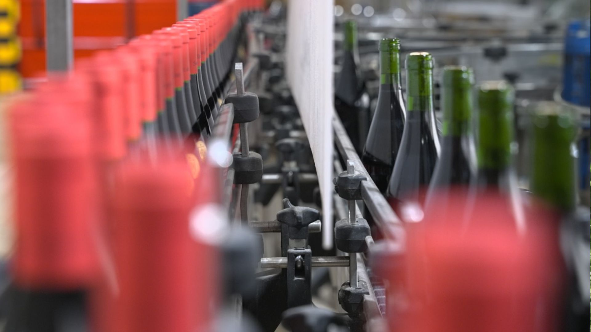 'Sangre de Toro' or 'Bull's Blood' on the production line at the Torres winemaking plant in Penedes. /CGTN