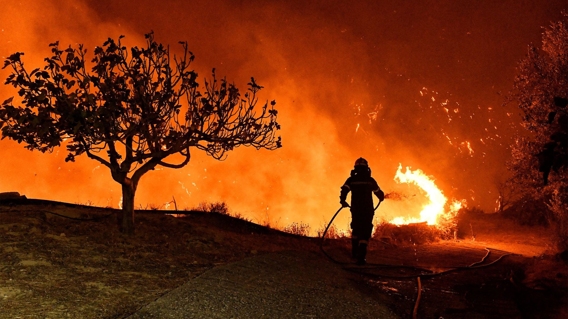 A firefighter tries to extinguish a wildfire burning next to the village of Kallithea, near Corinth, Greece, in September. /Vassilis Psomas/Reuters