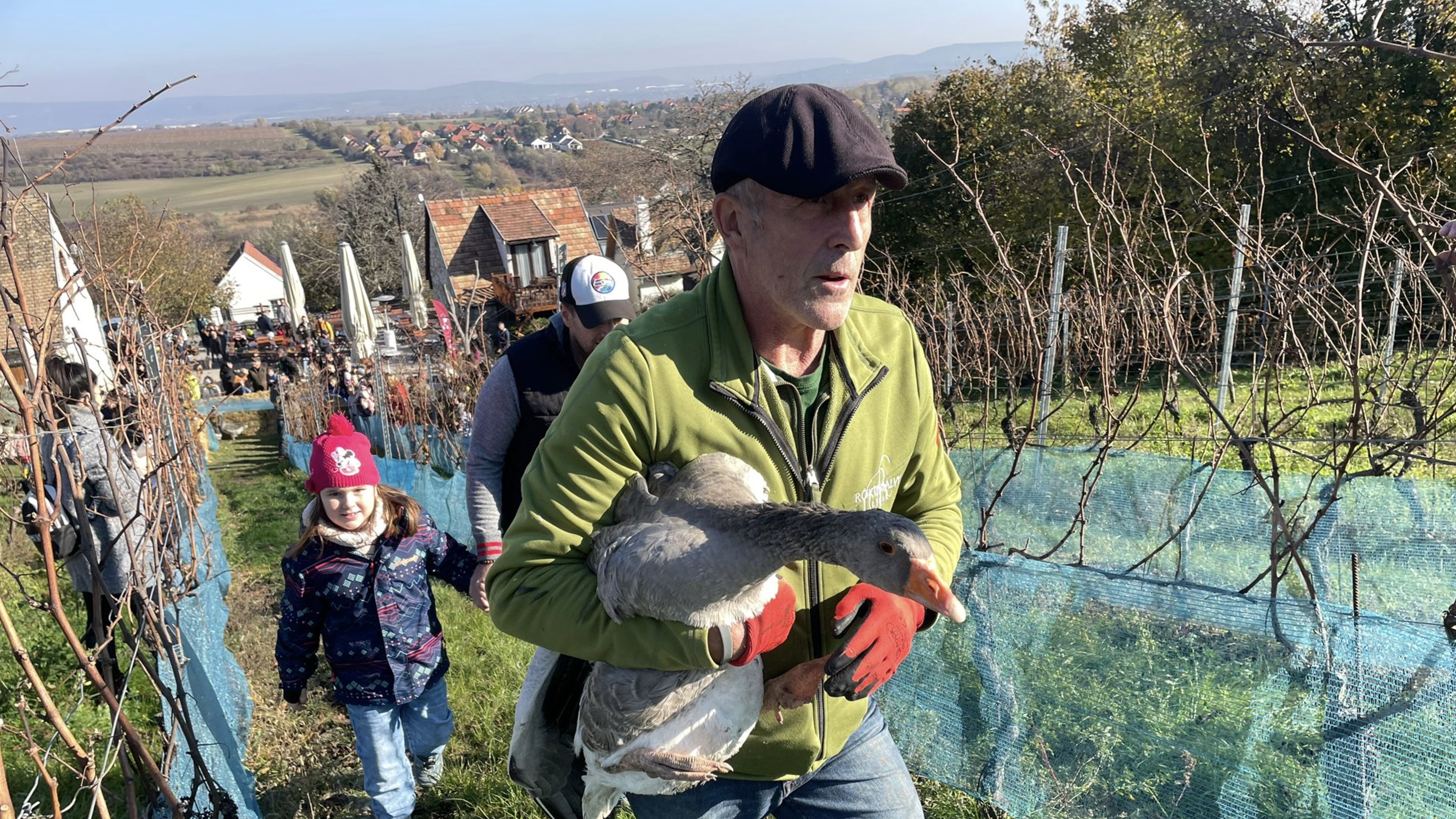 One of the festival's highlights is the goose race, held in the vineyards of Etyek, just outside Budapest. /CGTN Europe