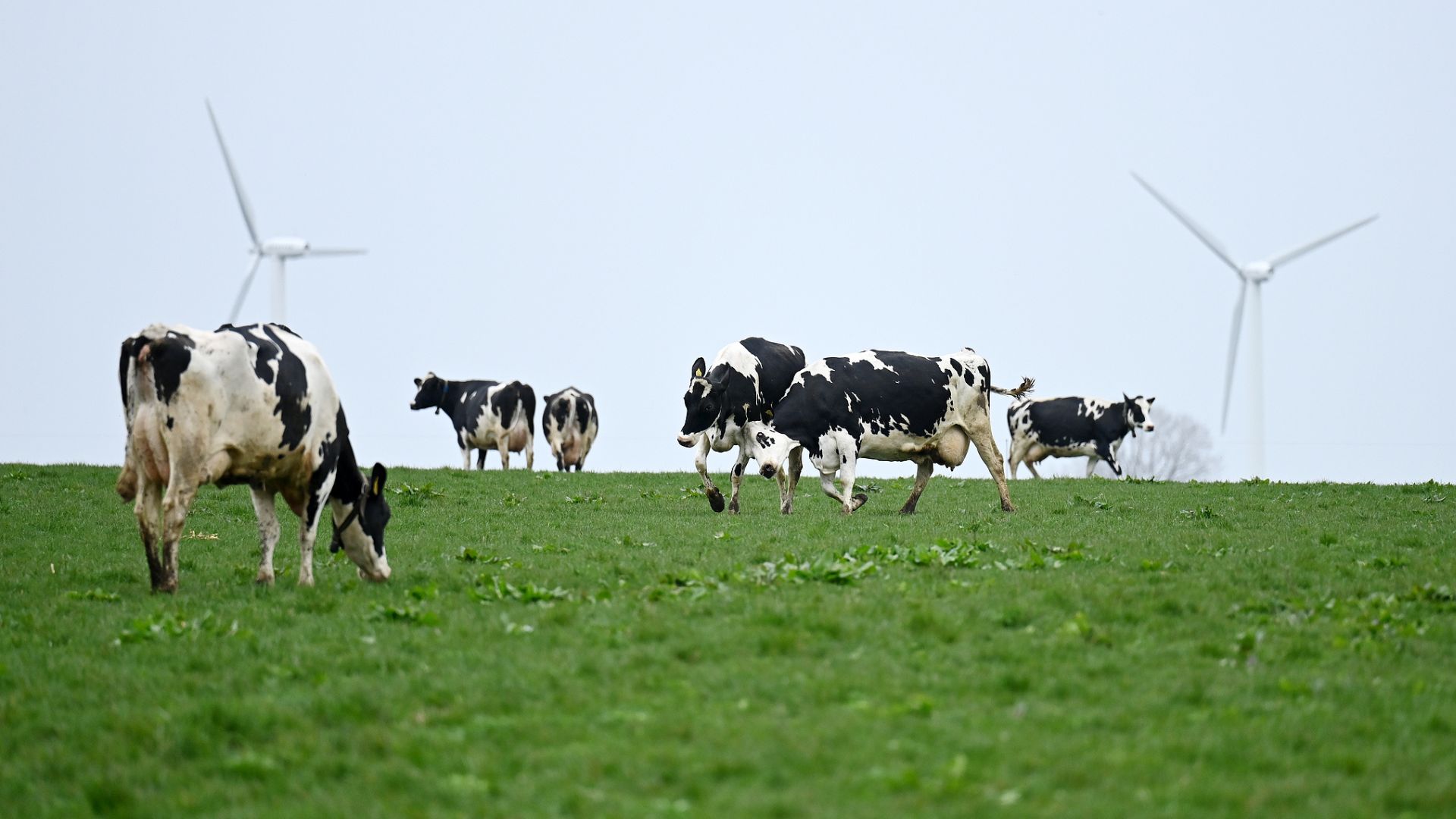 $6.1 billion has been earmarked to acquire land from farmers over the next two decades. /Sergei Gapon/Anadolu Agency via Getty Images