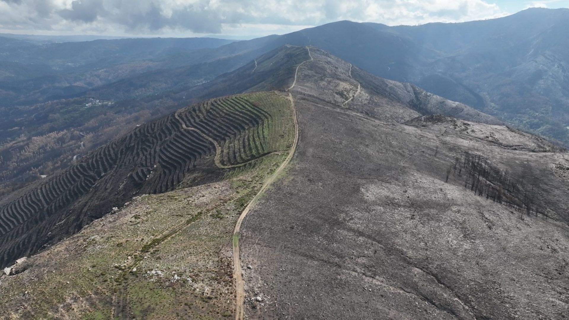 On the left is an area controlled by fires and grazing by goats, while on the right fire has charred the land. /CGTN