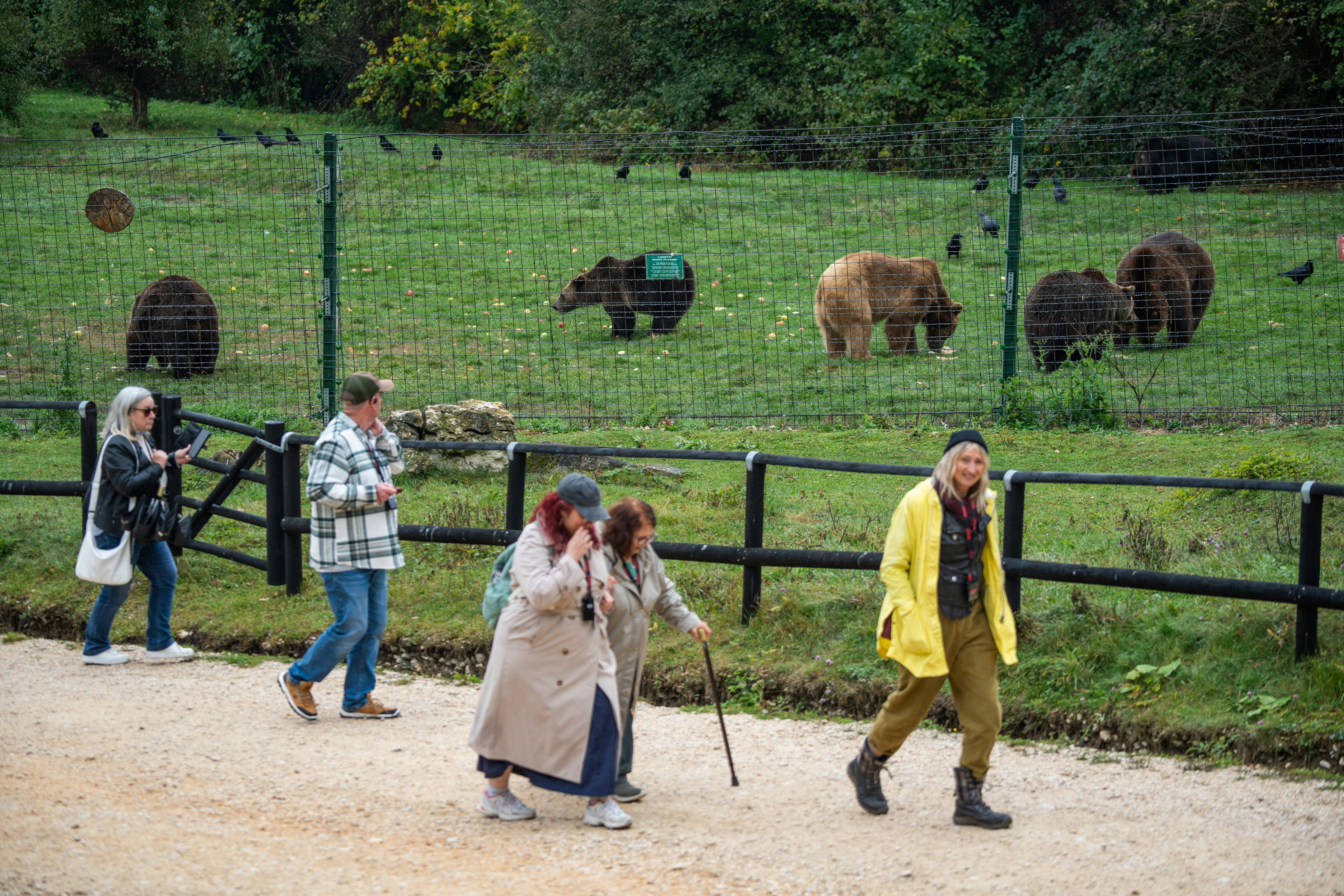 The Libearty Bear Sanctuary welcomes 30,000 visitors a year. /Mihai Barbu/AFP