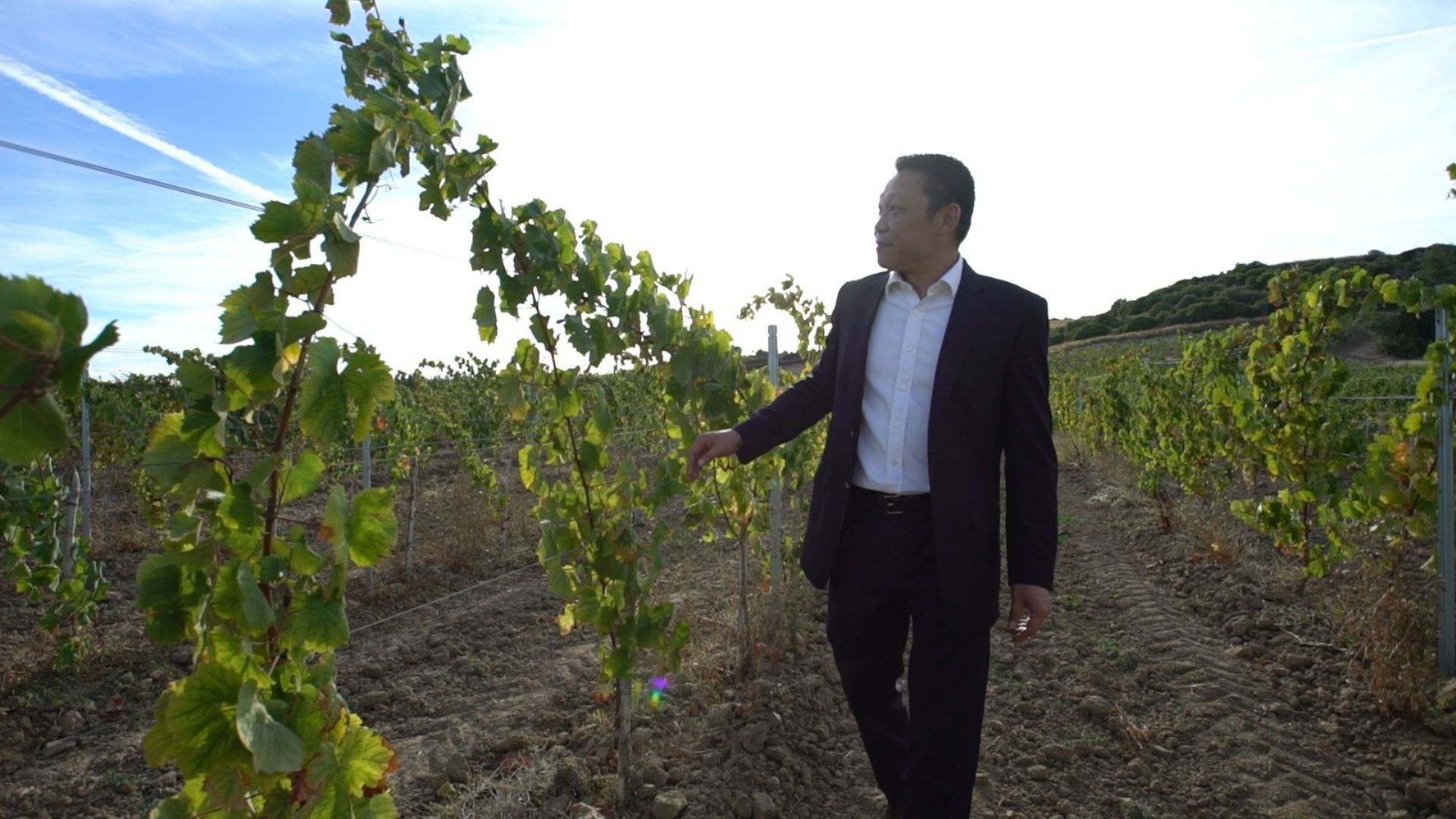 The late Wu Zhi Wei, who passed away in January 2024, among the grapevines at the Quinta da Marmeleira finca which he bought in 2016 with his wife Lao Chao Peng. /Handout