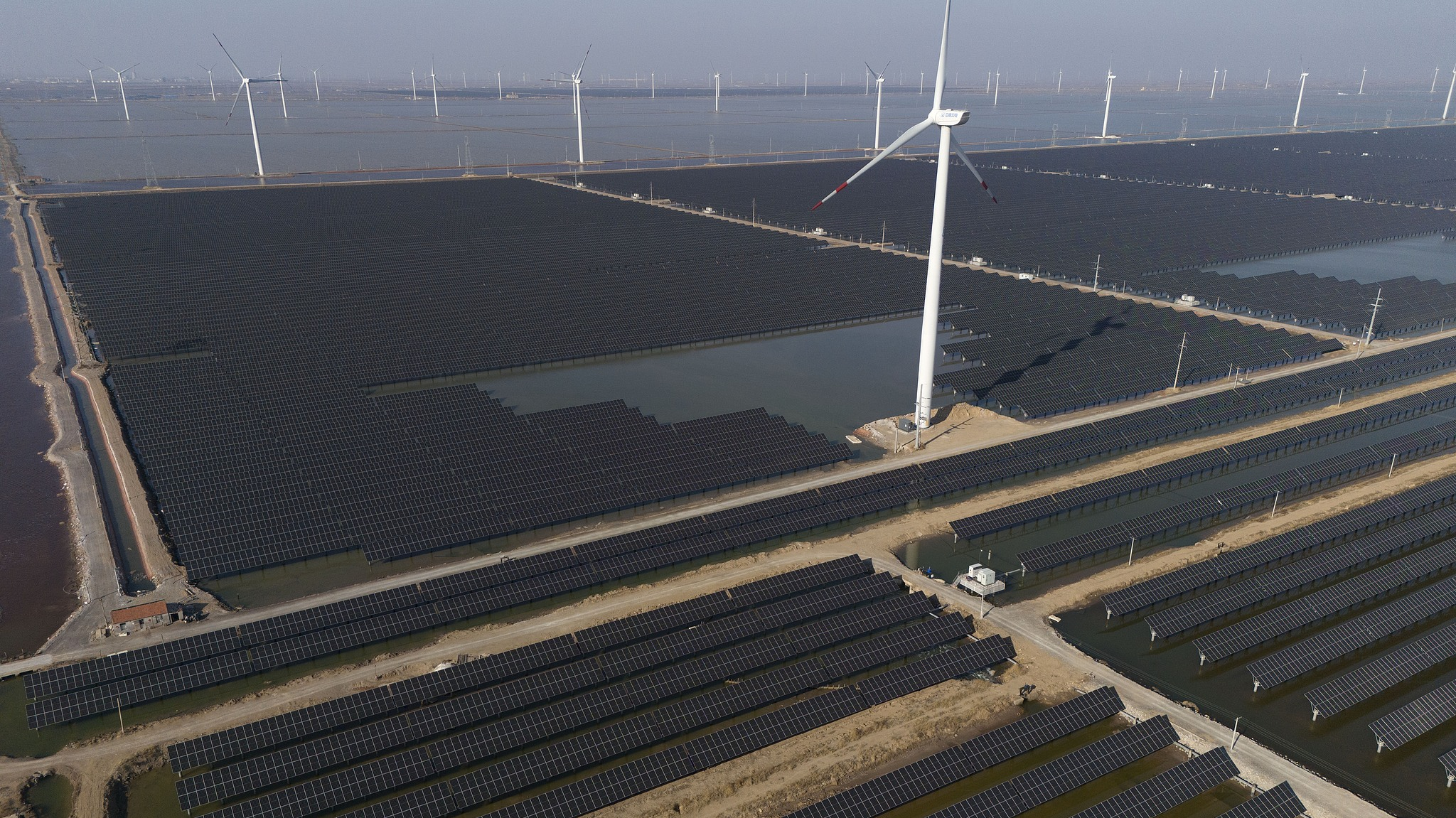 Wind turbines dot the coast line along a giant solar farm near Weifang in
eastern China's Shandong province. /CFP