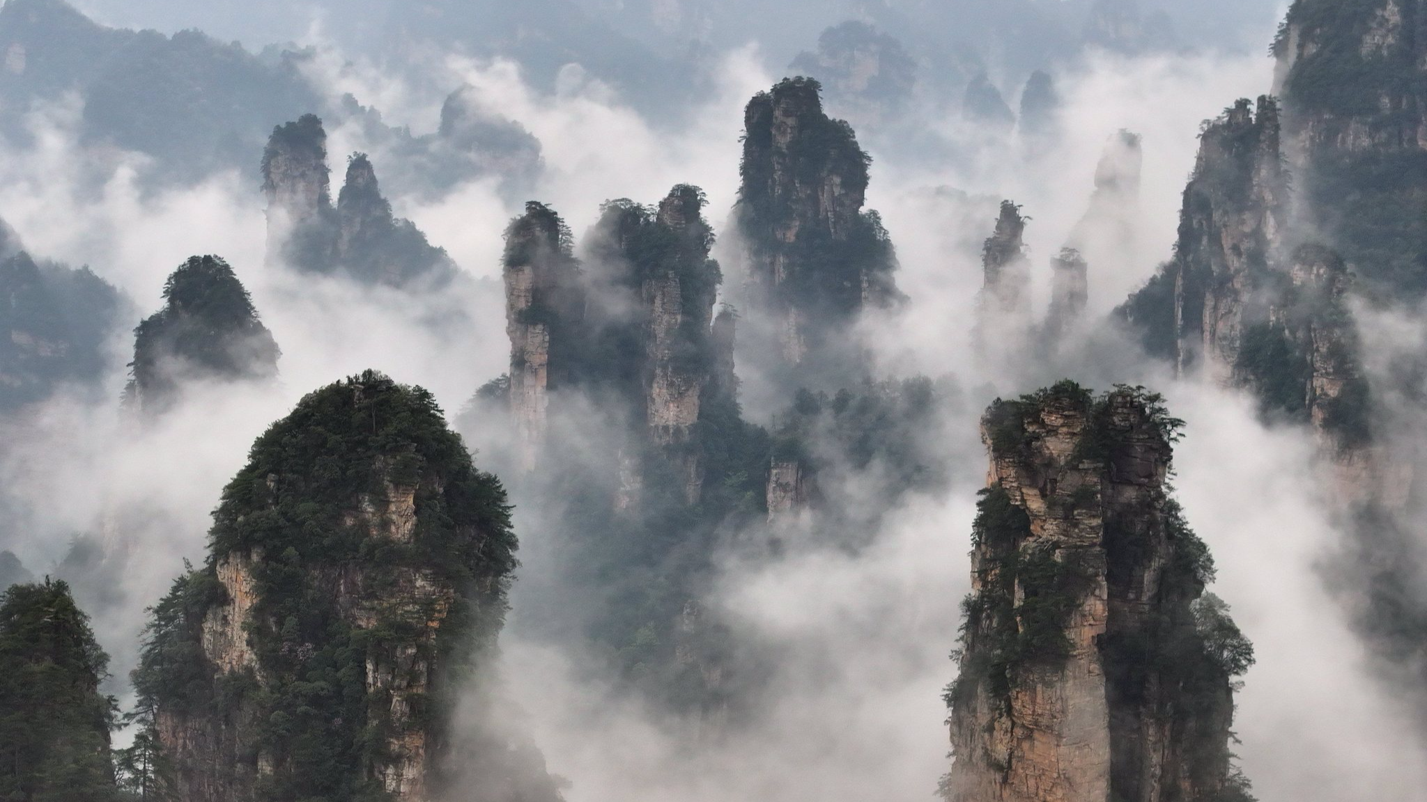Zhangjiajie National Forest Park. /CFP