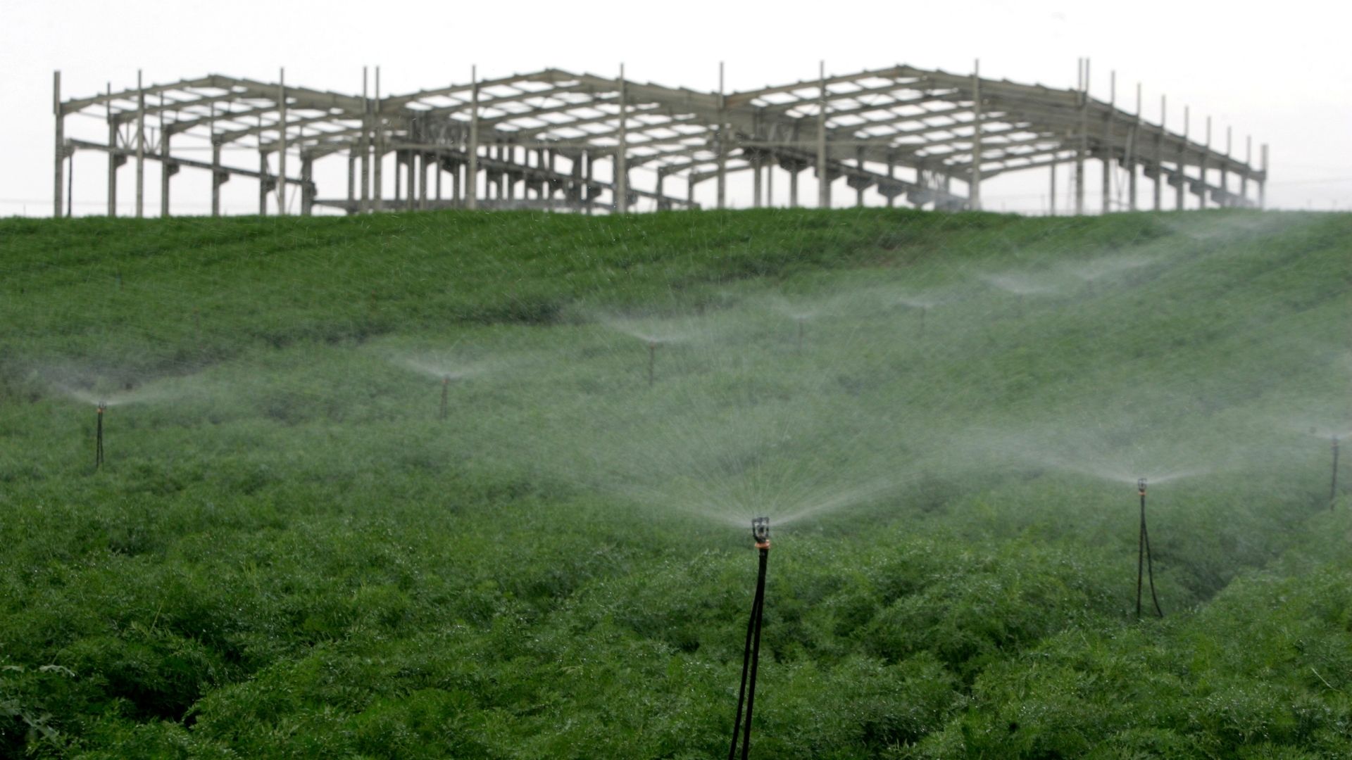 Heavy metals contaminate up to 17% of world's arable land: study