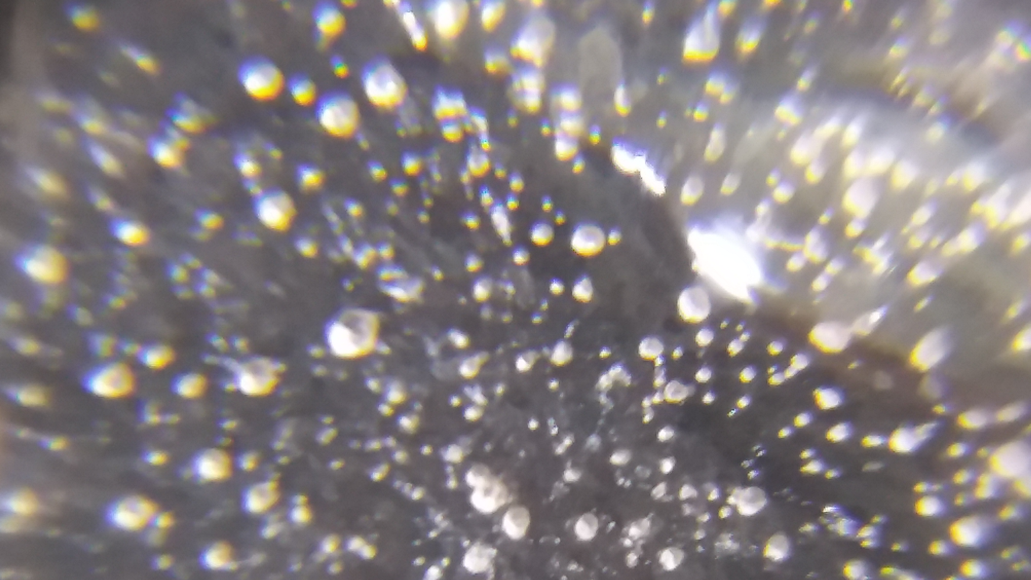 Are microplastics causing the fertility crisis?