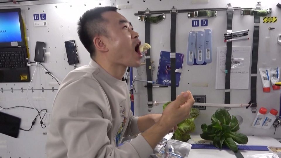 A Shenzhou 17 taikonaut eating beef dumplings 'flying' to his mouth in space. /China Manned Space Engineering Office
