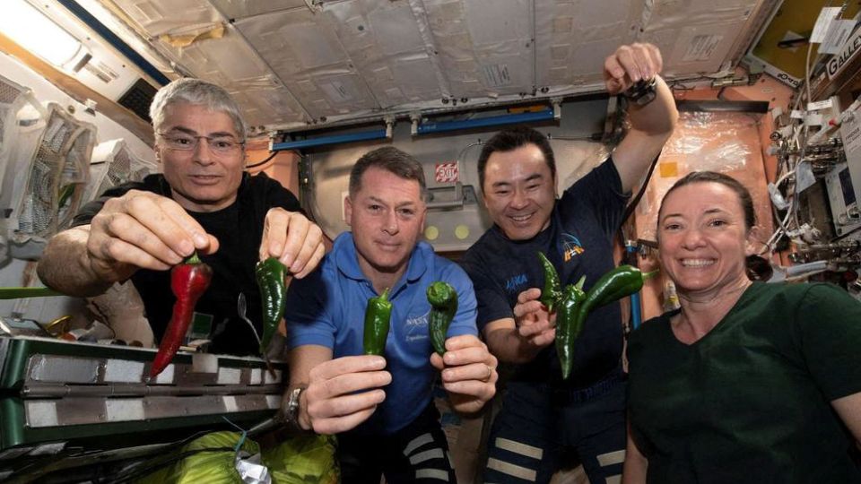 International Space Station astronauts Mark Vande Hei, Shane Kimbrough, Akihiko Hoshide and Megan McArthur, pose with chilli peppers grown in space for the first time aboard the orbiting laboratory platform for the Plant Habitat-04 investigation. /NASA/Handout
