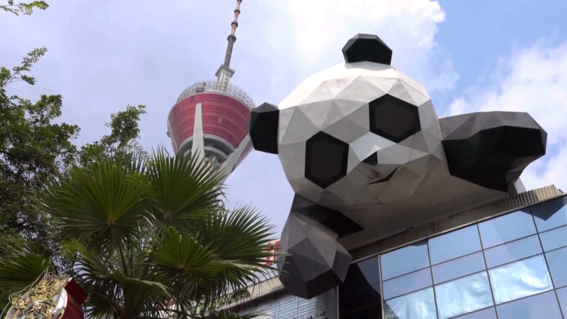 Chengdu city is known as the 'city of pandas.' /CGTN