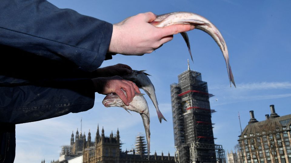 Fishy or fabulous? Starmer hopes EU reset deal will transform fortunes