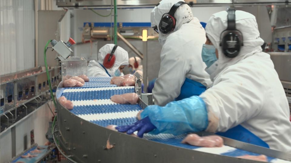 Employees at work at a poultry meat processing plant in San Fernando de Henares in the Madrid region. /CGTN