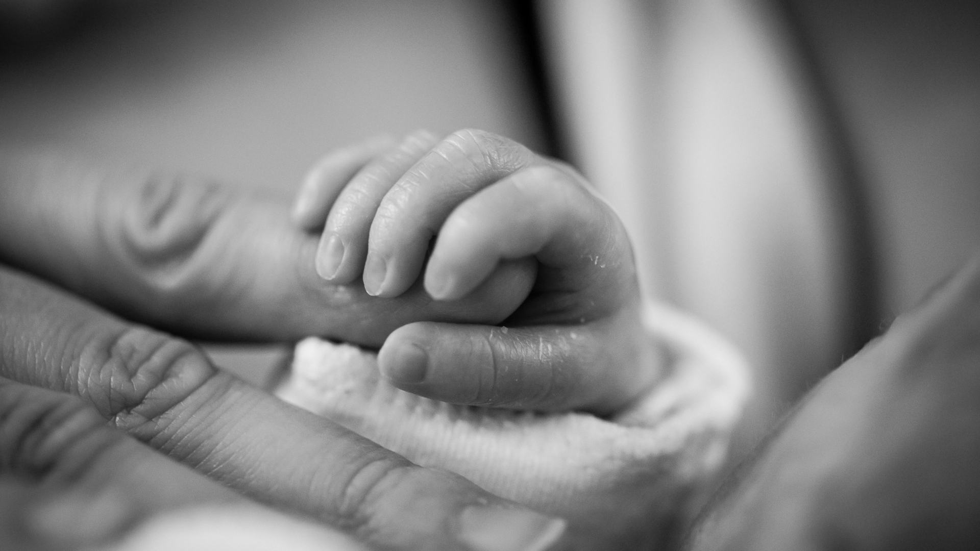 Birth rates continue to fall across most of the EU. /Handout
