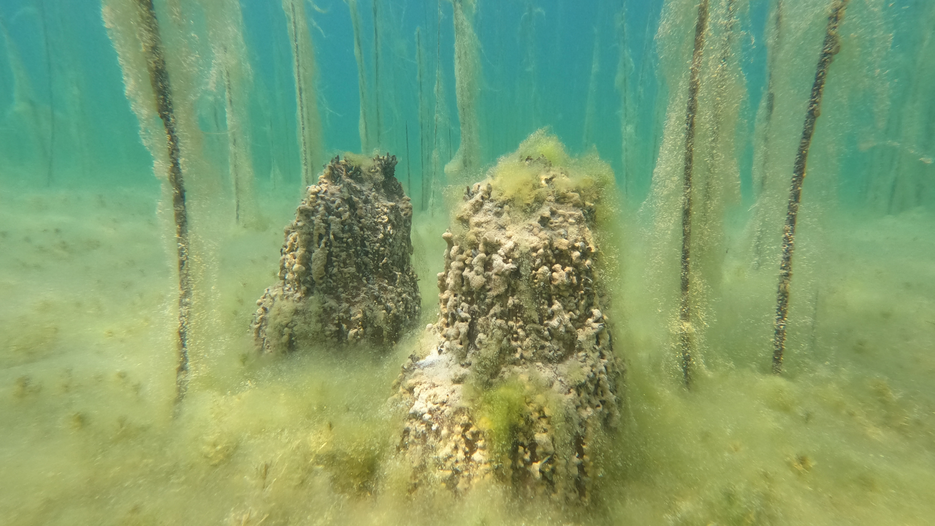 Discovered: Settlement where humans lived up to 8,000 years ago