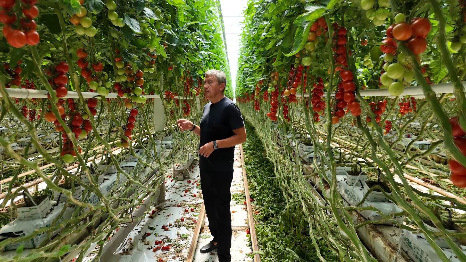 Growing melons in Vienna: Climate change is altering Europe's farming
