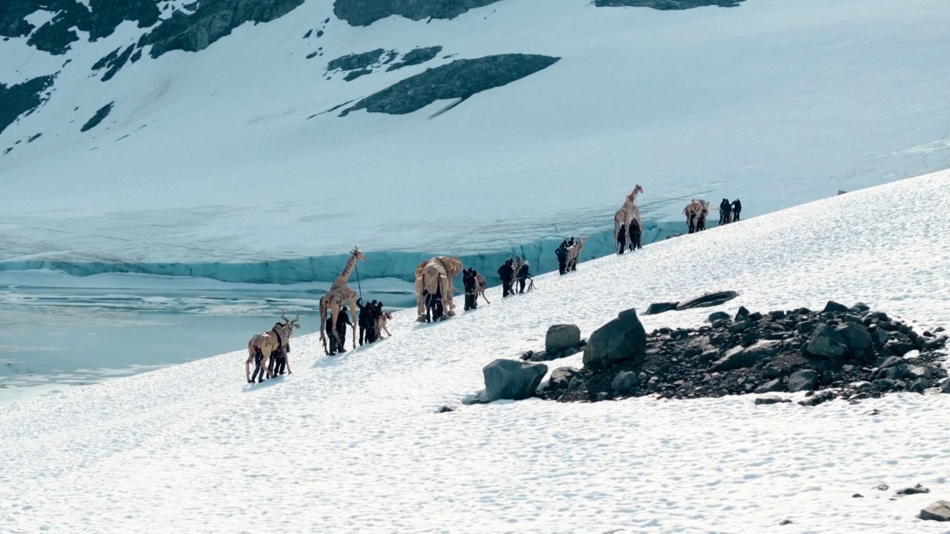 Congo to Norway: Animal puppets complete 20,000km journey