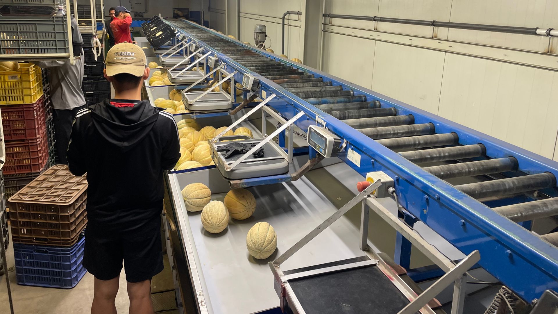 Workers at Roszik Farms' factory where record numbers of melons are being processed. /Pablo Gutierrez/CGTN