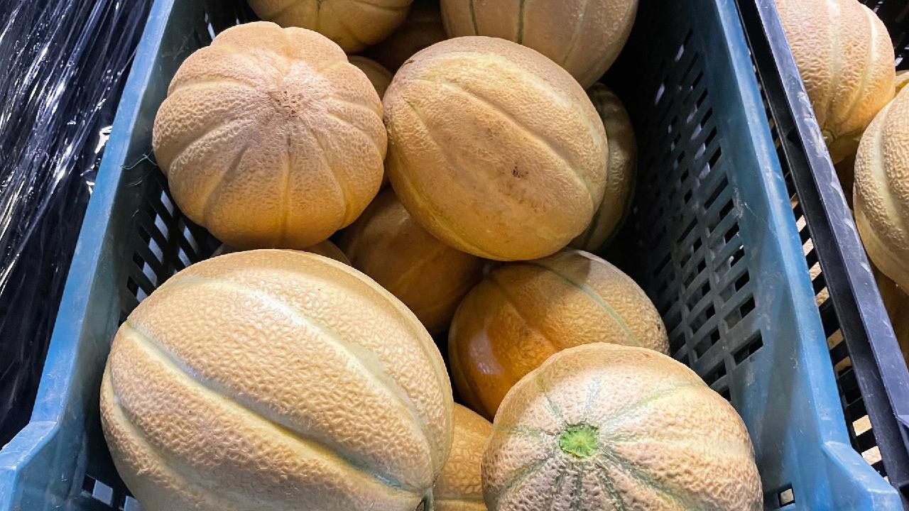 Hungarian melon growers using new tech to overcome water shortages - CGTN