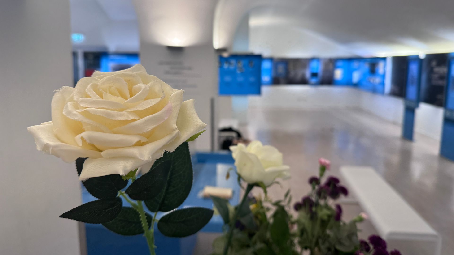 The museum at the university. /Natalie Carney/CGTN