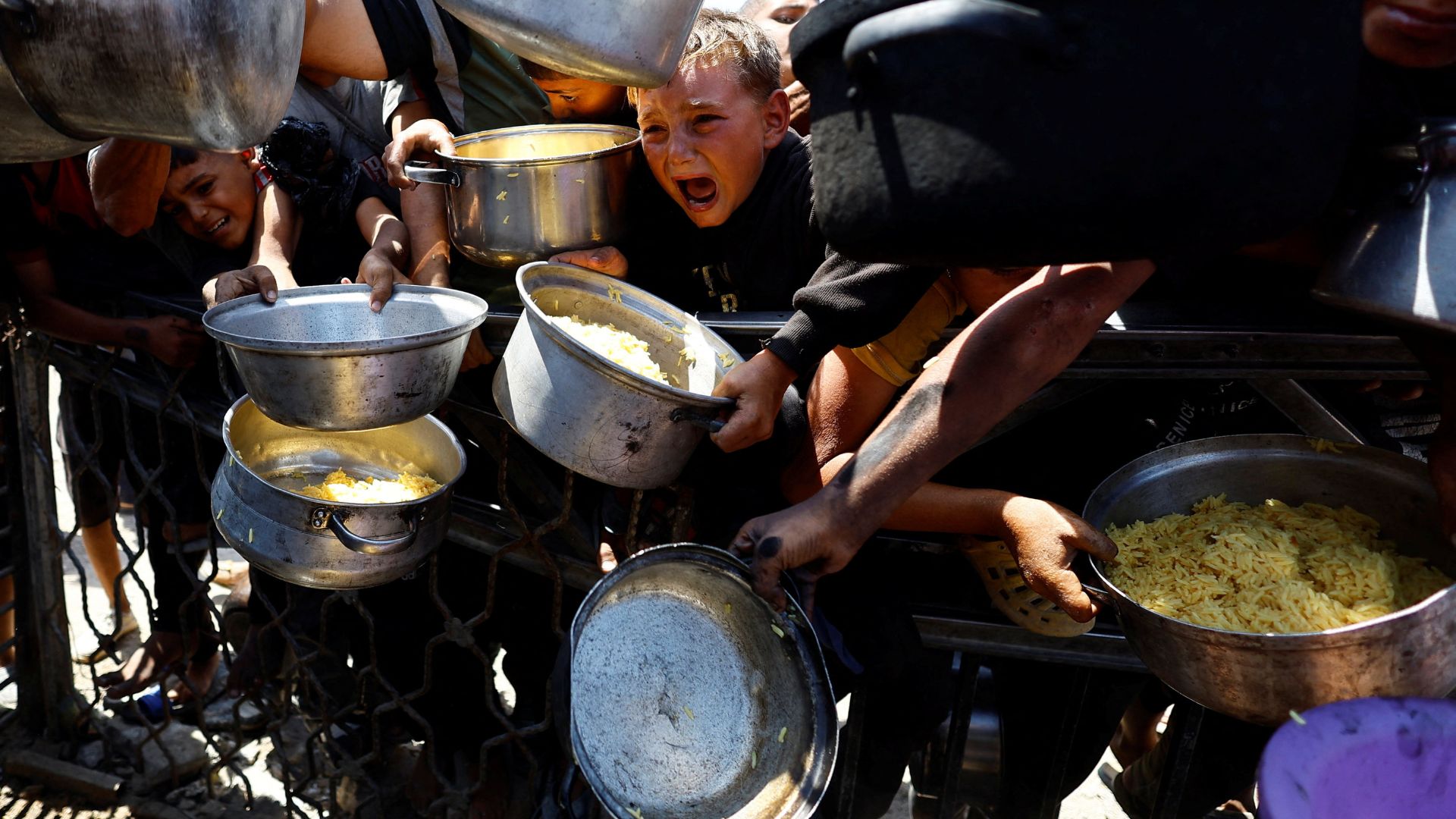Palestinians wait to receive food from a charity kitchen amid famine in Gaza City, on August 28. /Mahmoud Issa/Reuters