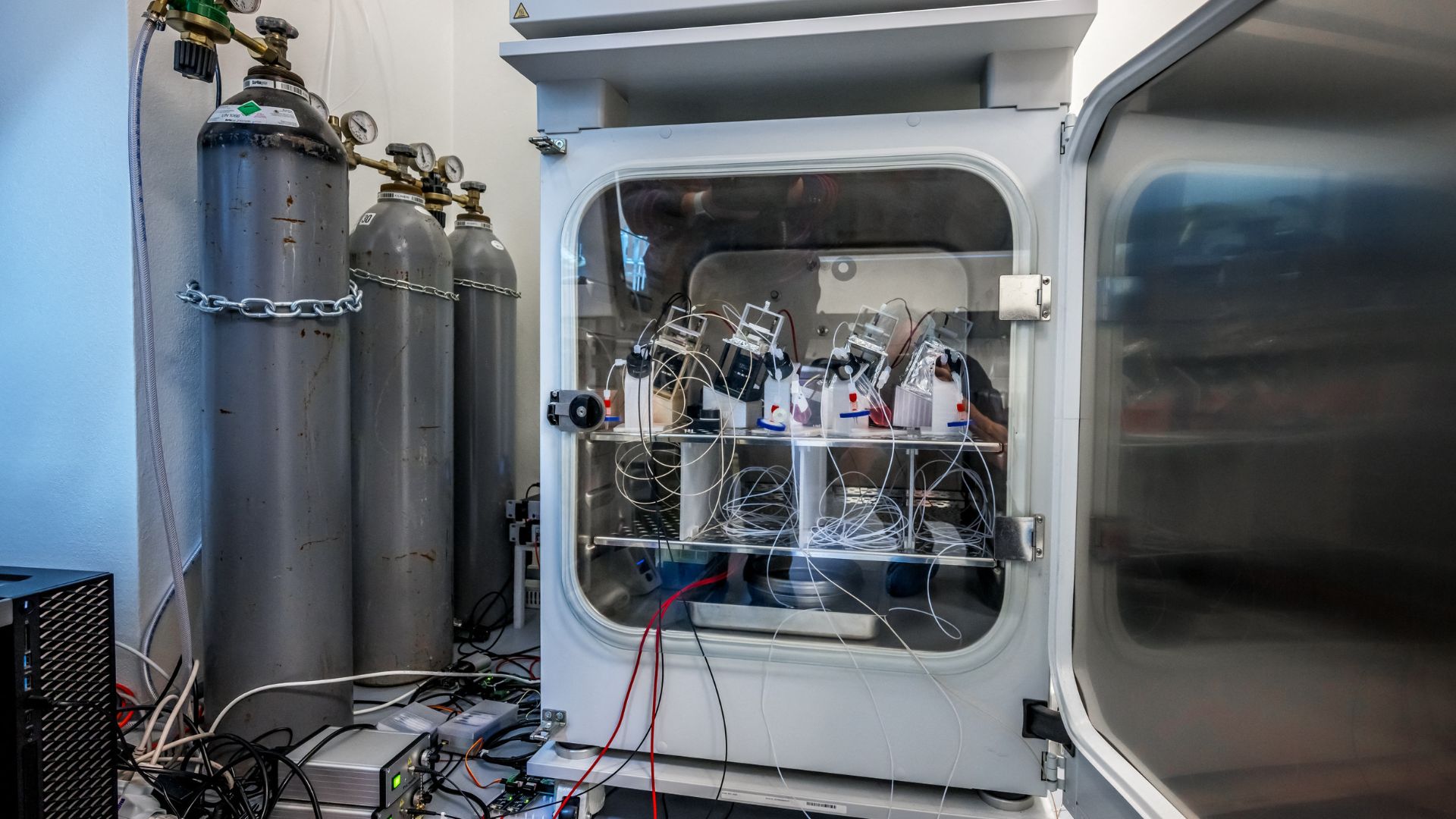 Devices containing human brain cells inside a laboratory refrigerator at the Swiss start-up FinalSpark. /Fabrice Coffrini/AFP