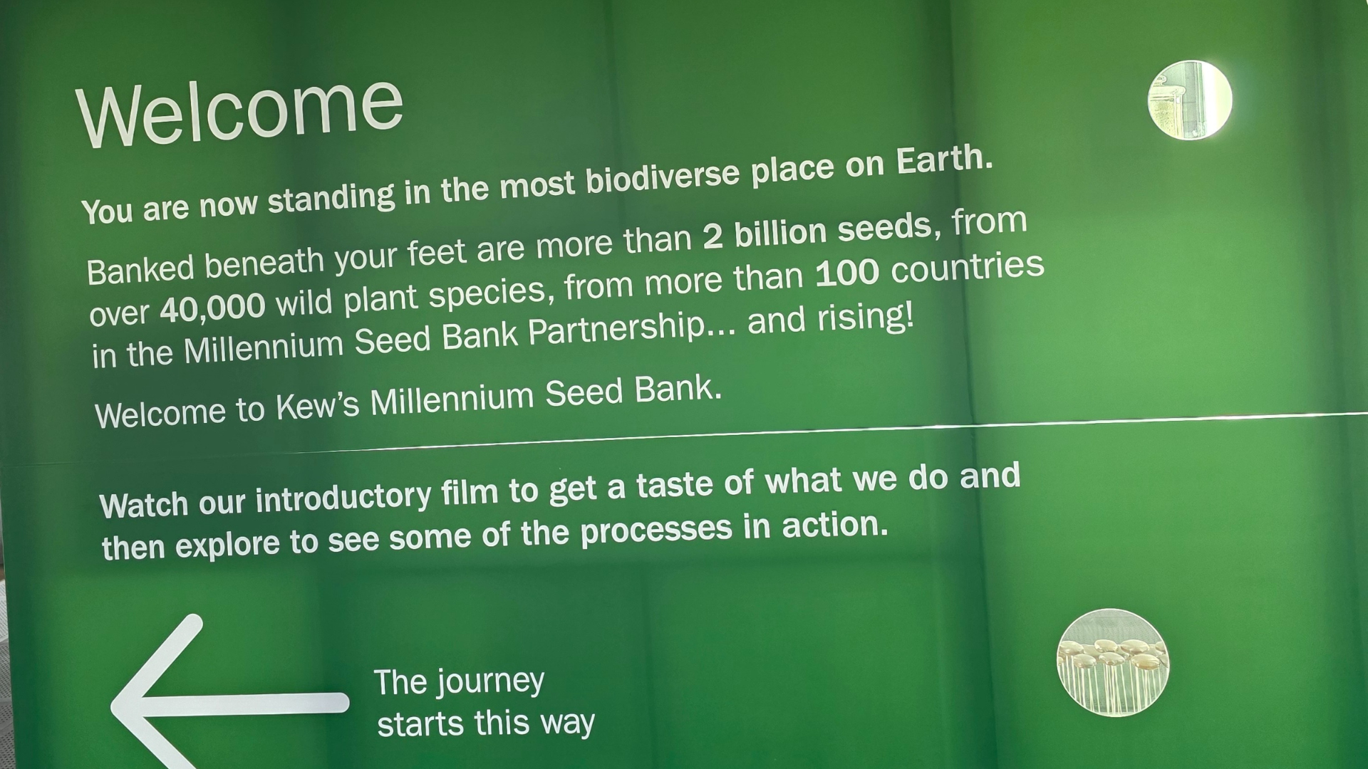 A sign inside the Millennium Seed Bank. /Siobhan McCall