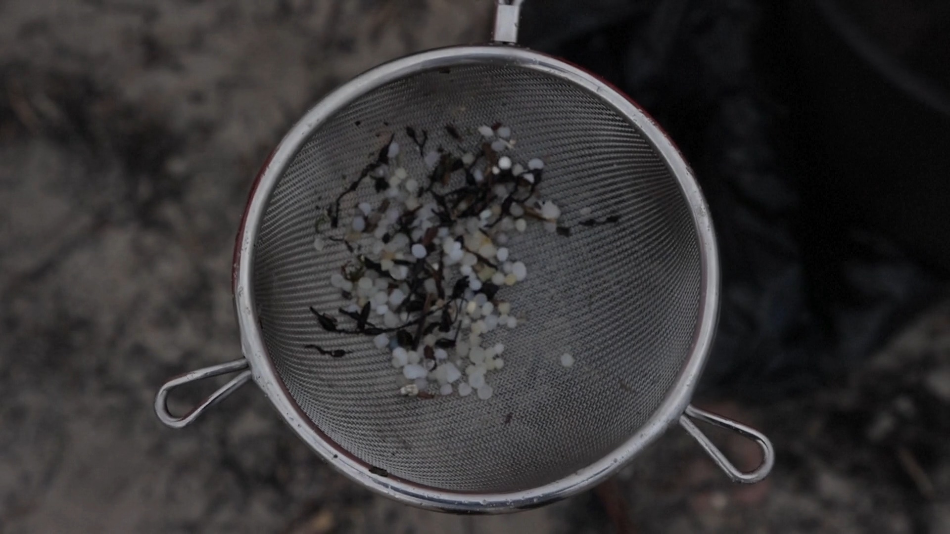 'Nurdle' pellets picked up on a beach in northern Spain following December 2023 incident in which millions were feared to have been dropped overboard. /Reuters