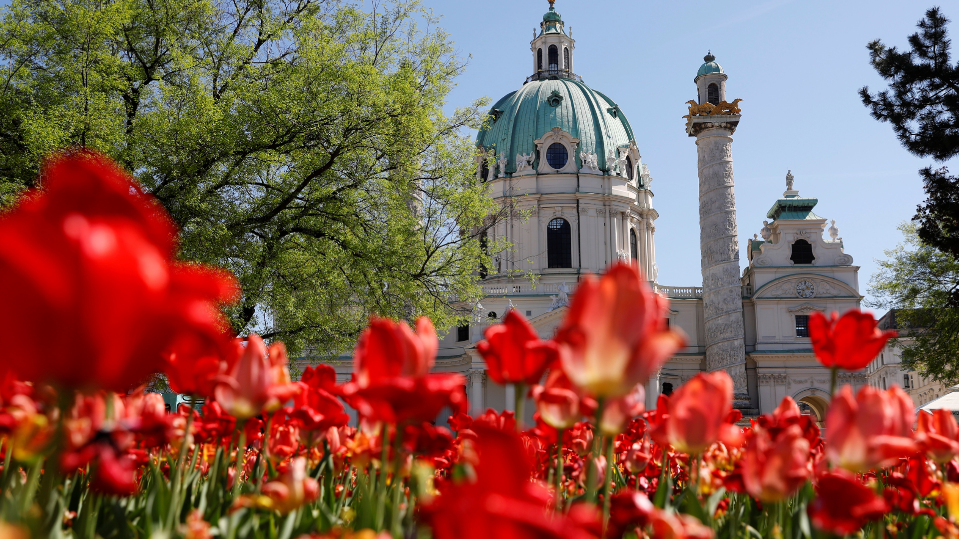 Vienna to end euro-a-day travel pass amid financial squeeze