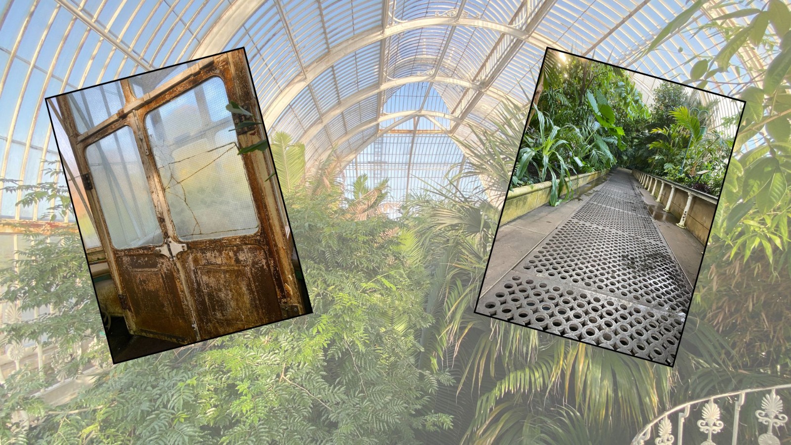 The Palm House is showing its age in places – but there's a plan to update the beloved institution. /Iolo ap Dafydd/CGTN