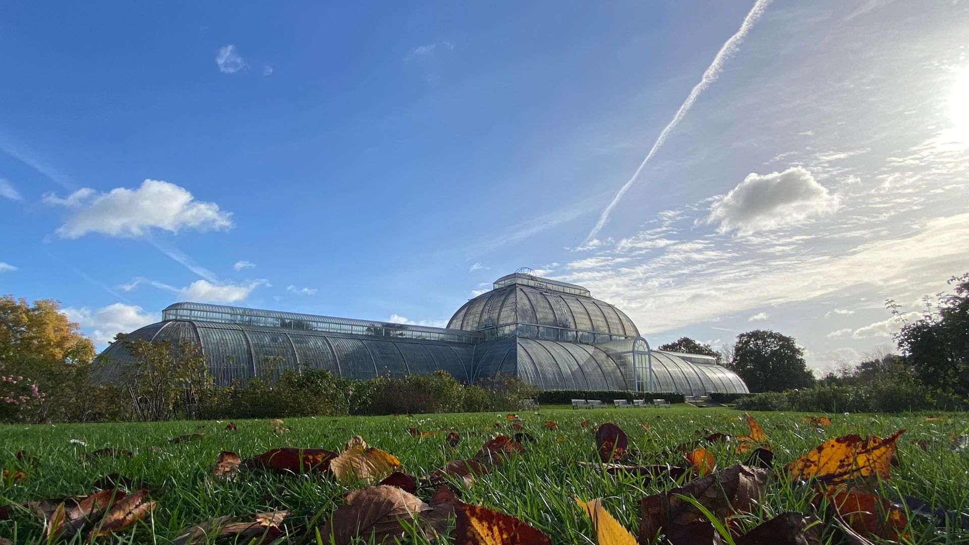 The $80m plan to future-proof Kew Gardens' 175-year-old Palm House