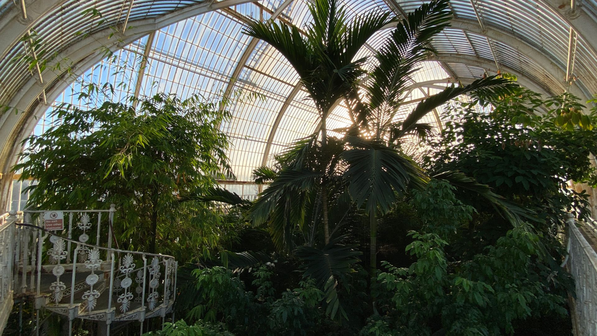The Palm House was a Victorian marvel – but that was 175 years ago. /Iolo ap Dafydd/CGTN