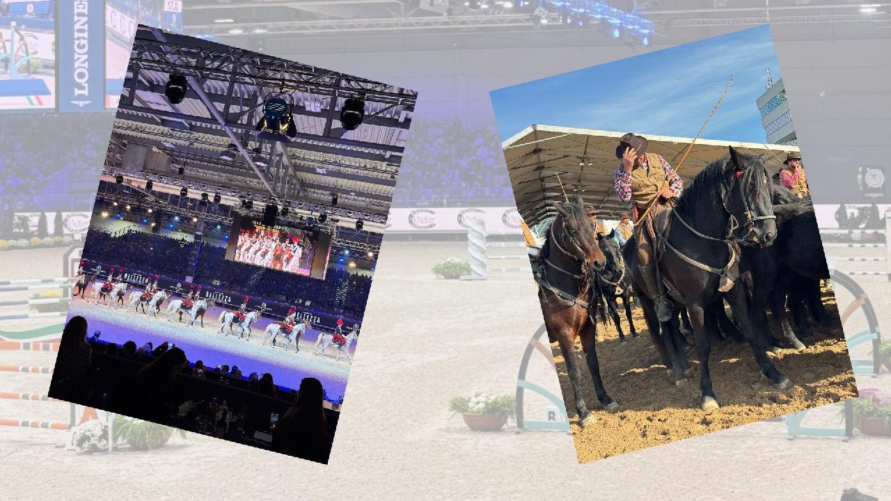 No horsing around: Italy and China deepen equestrian cooperation