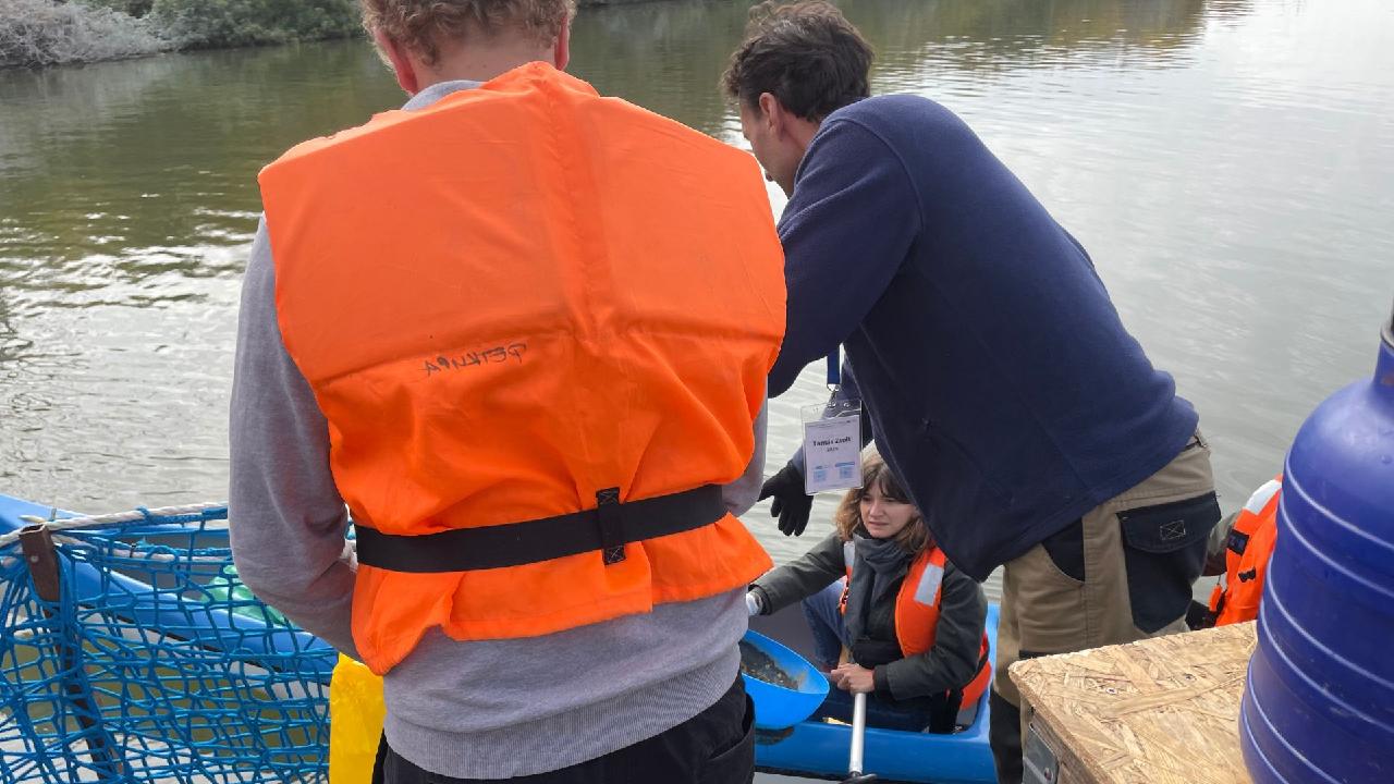 Volunteers give Hungary's River Tisza a second chance