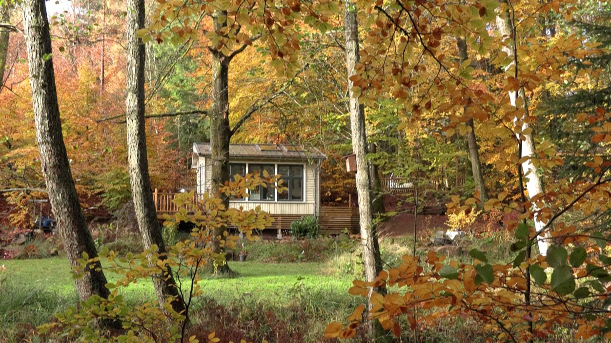 Sweden's silent forests offer sanctuaries from noise pollution