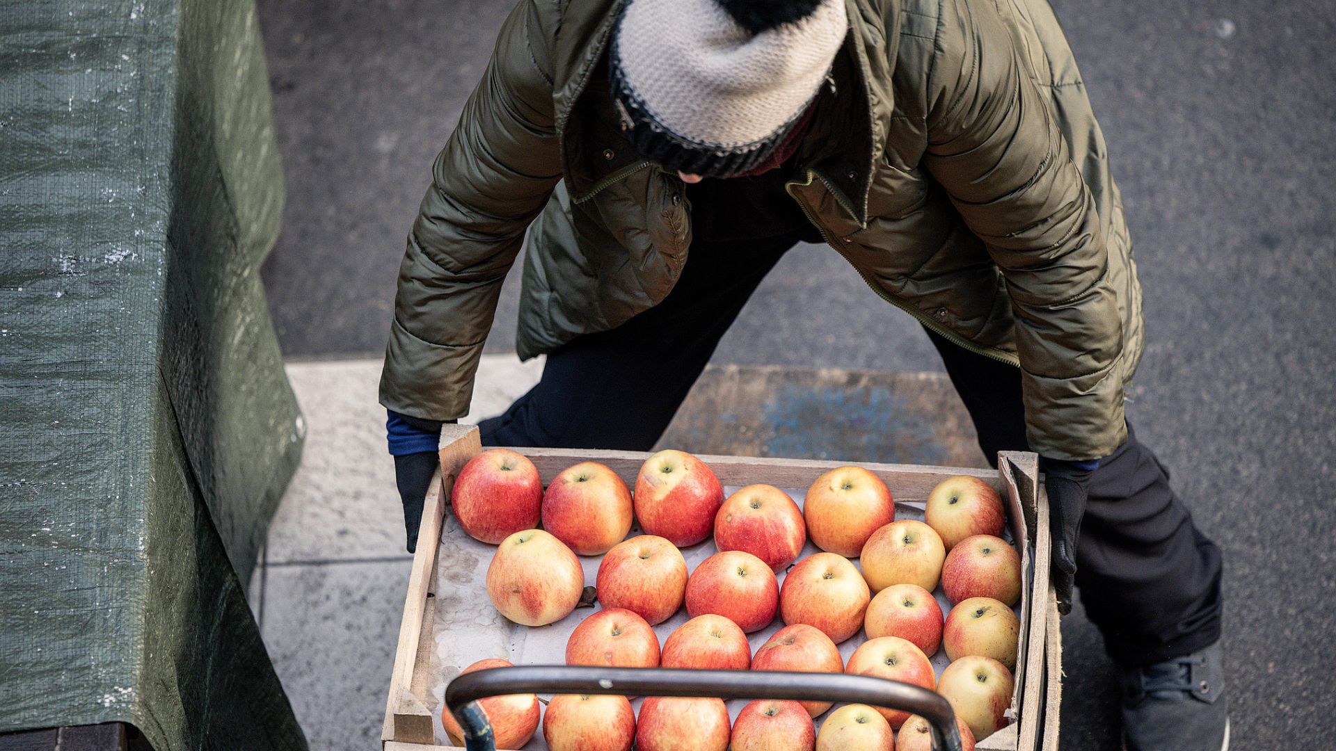 Hungary's 'apple belt' fights for survival as climate shifts