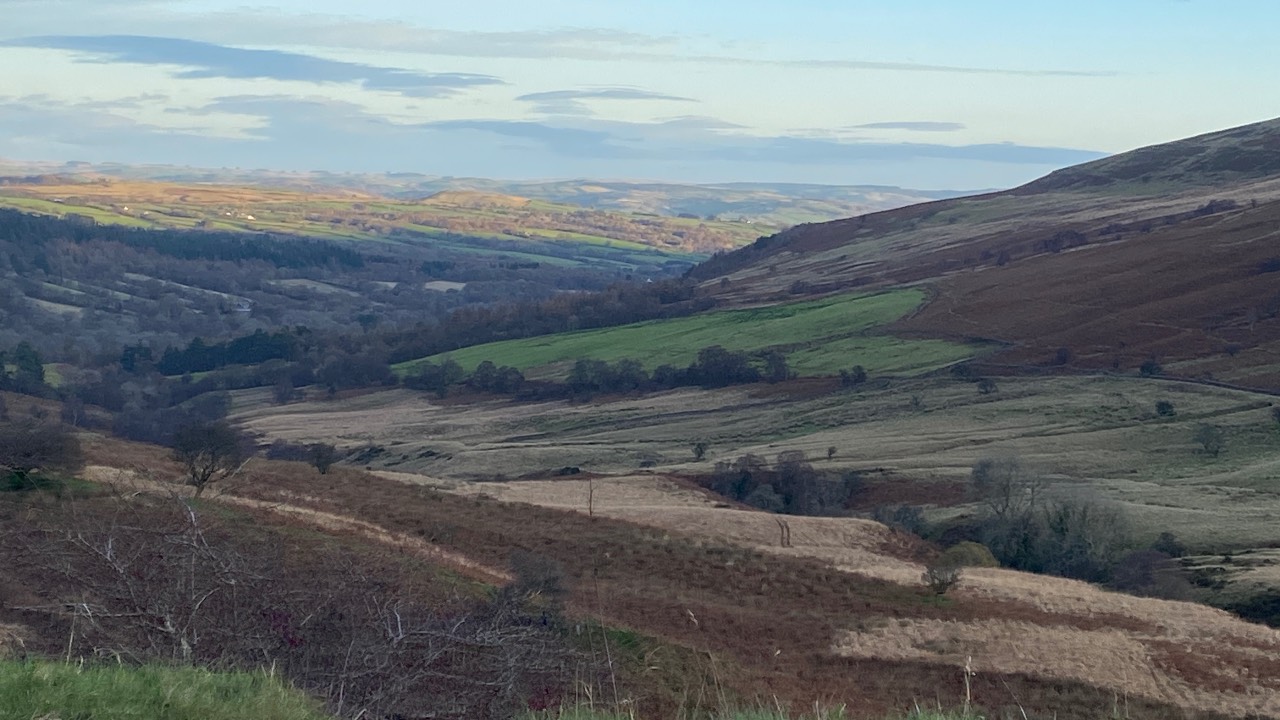 Thousands of smaller family farms in the UK barely make a profit. /CGTN