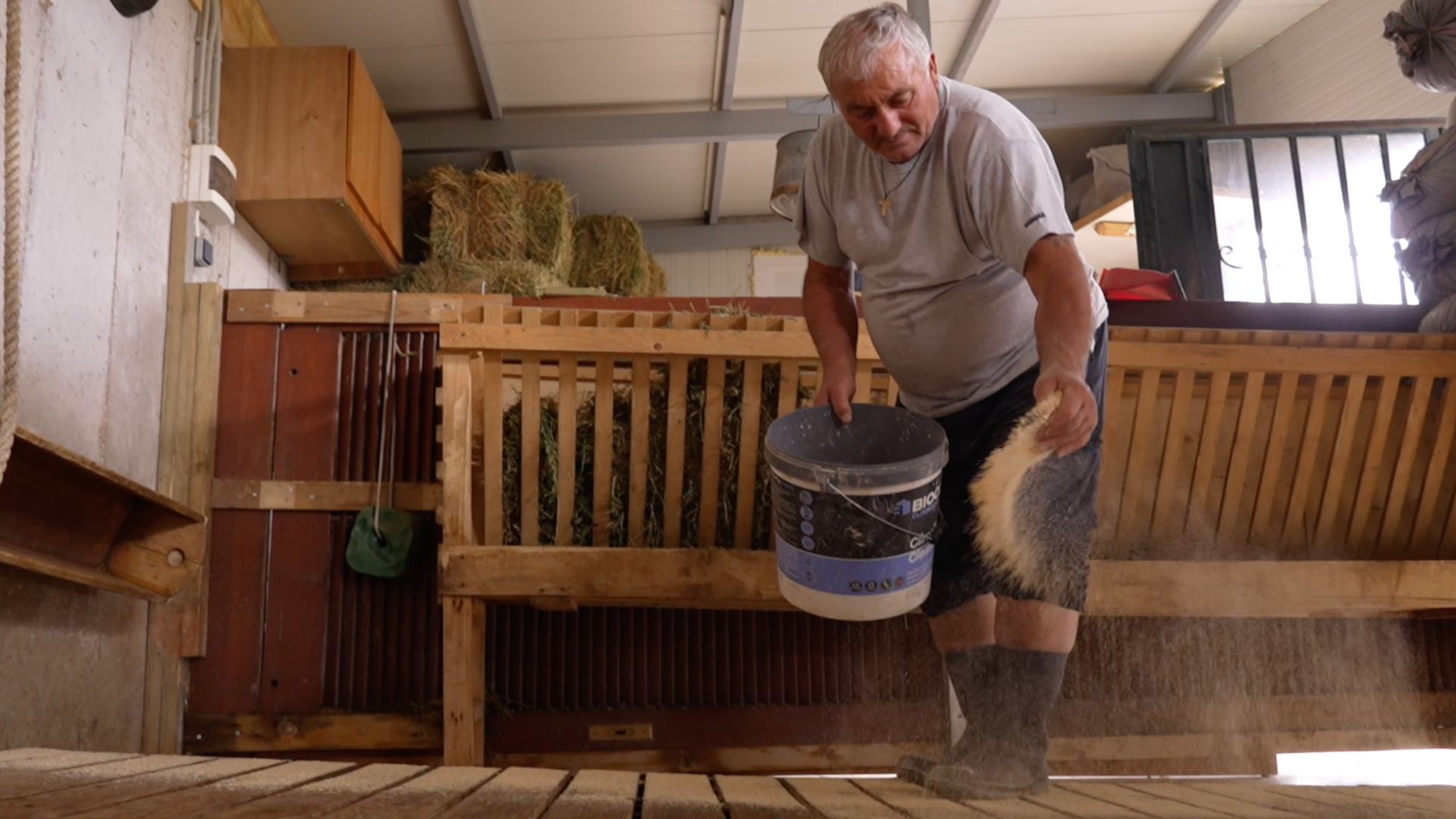 Farmers across Greece say the rising costs of animal feed is crippling them. /CGTN
