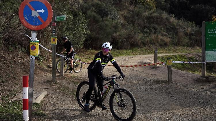 Spain halts pork shipments to China after African swine fever detected