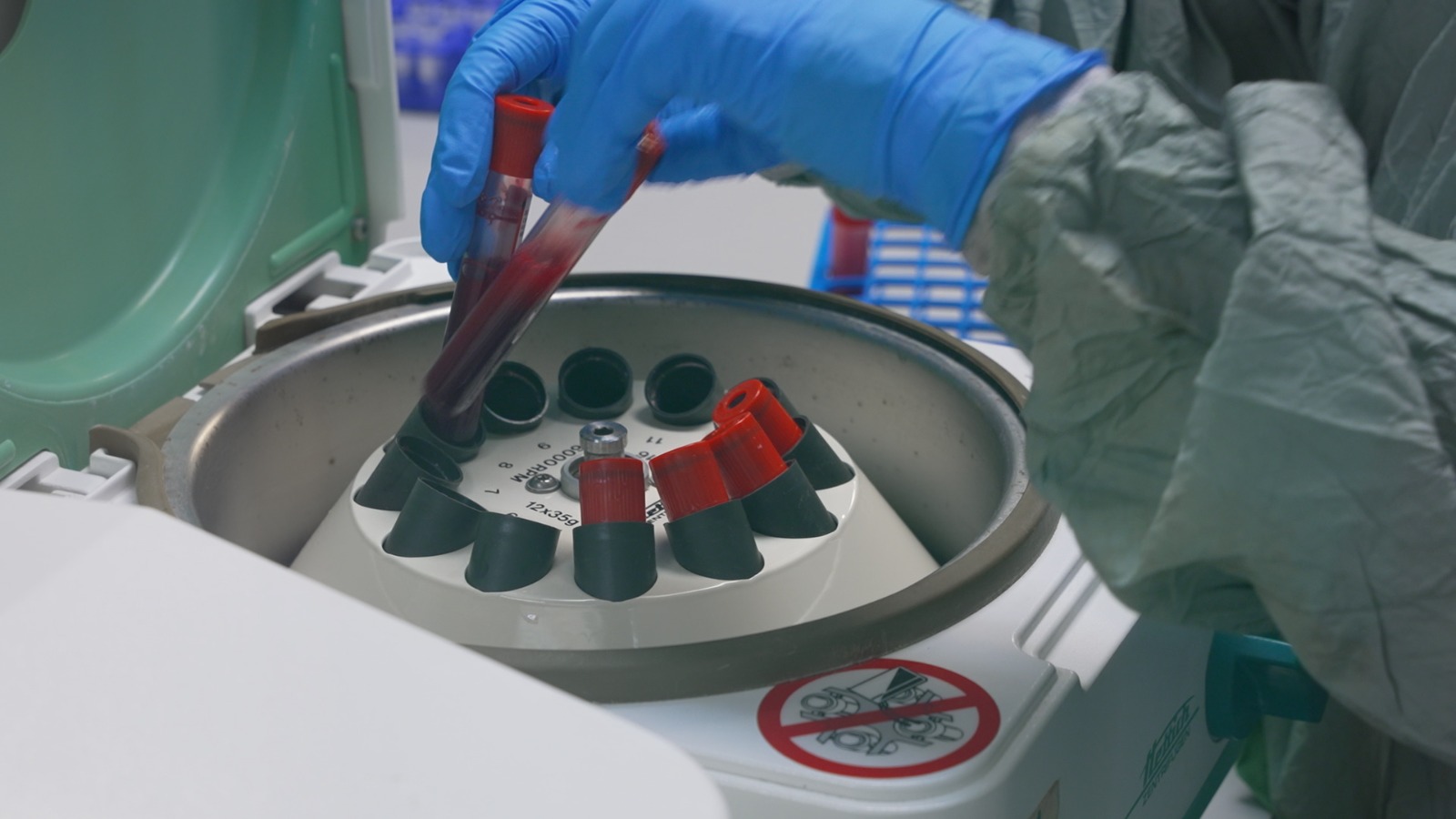 Testing is underway on 50 wild boar found dead within the exclusion zone. /CGTN