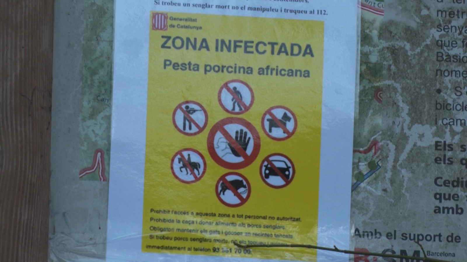 'Infected Zone' signs at the 20km perimeter in Collserola Natural Park, in the Barcelona region. /CGTN