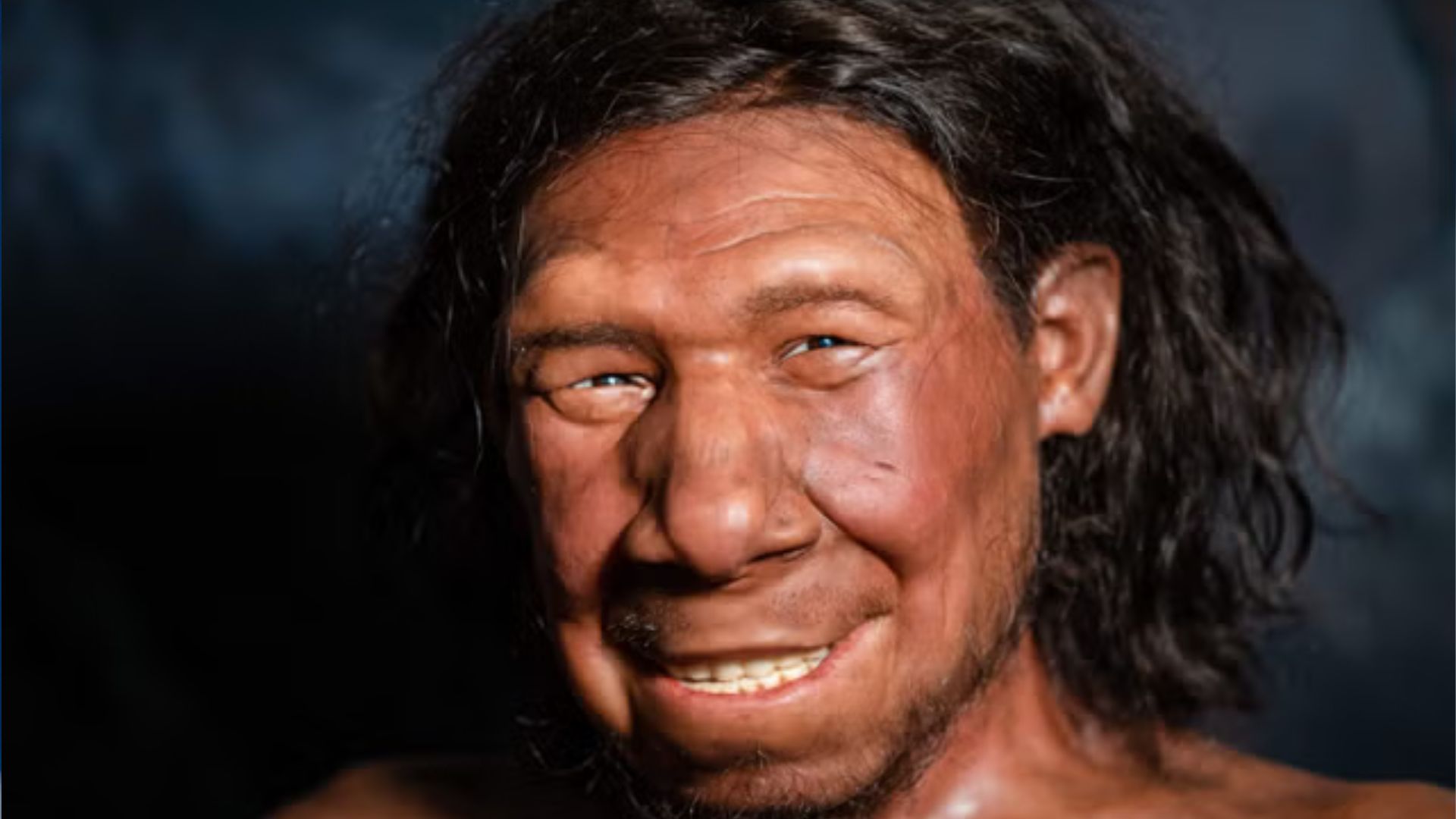 Reconstruction of the face of the oldest Neanderthal found in the Netherlands, nicknamed Krijn. ANP/AFP via Getty Images
