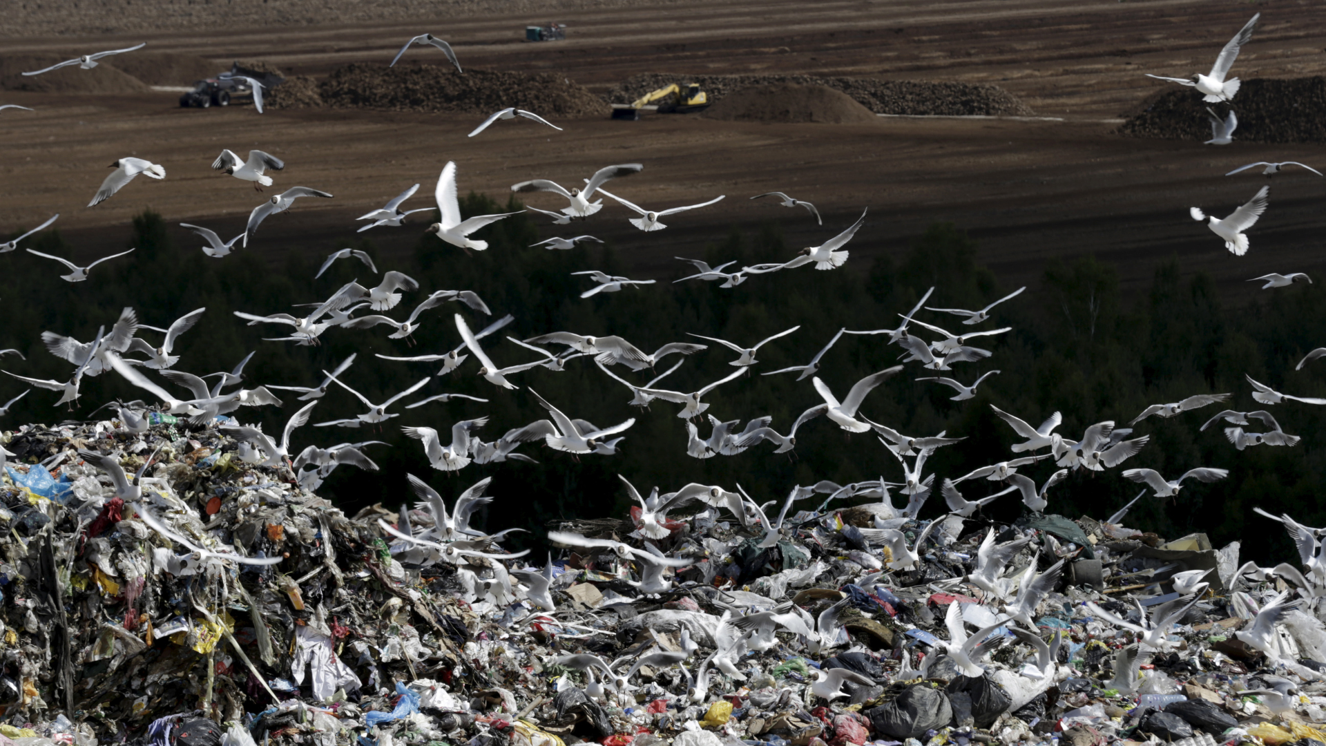 Waste is a huge issue across Europe. /Ints Kalnins/Reuters