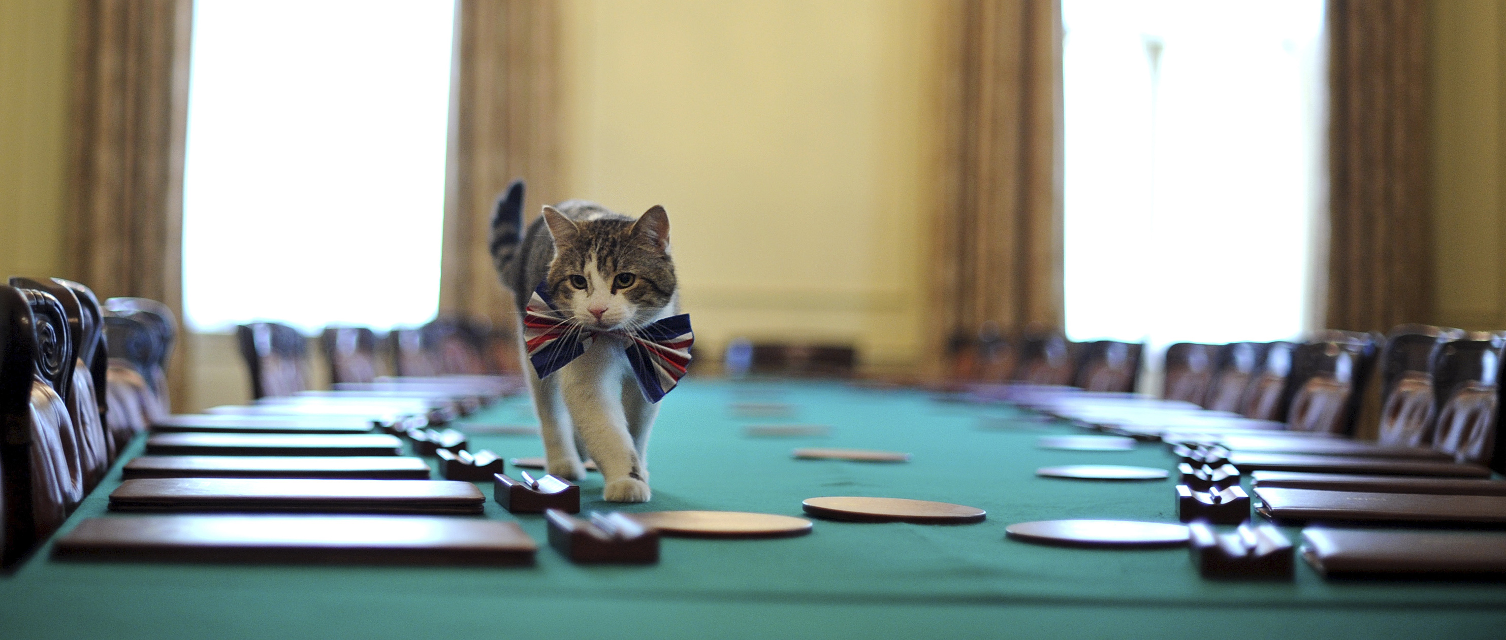 Larry has prowled Downing Street since 2011. Here he's pictured in a Union Jack bow-tie for the royal wedding of Prince William to Kate Middleton. /Ben Stansall/Pool/Reuters
