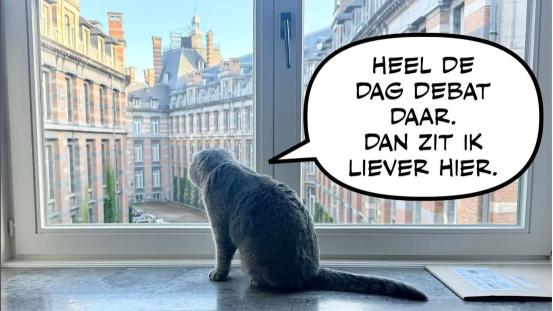 Maximus gazes down, saying 'A whole day of debates right there. I'm much better off here.' /maximustp16/instagram