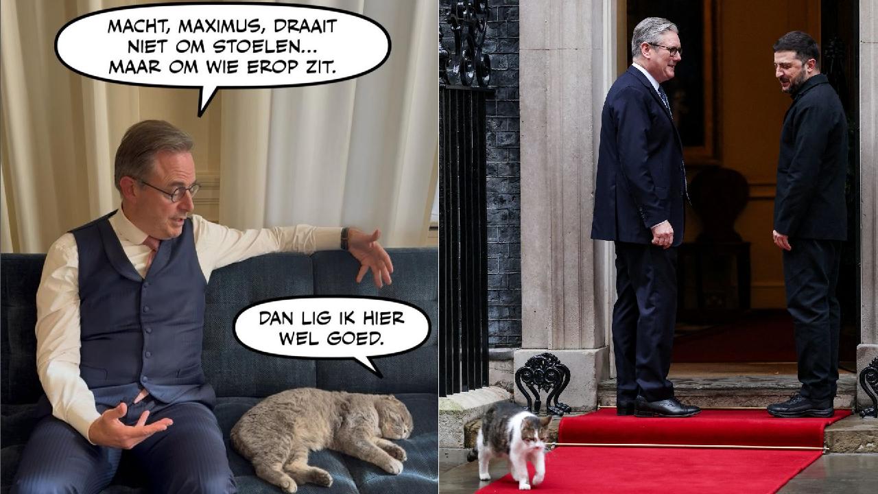 Larry the Downing Street cat, or Maximus the Belgian PM's moggy?