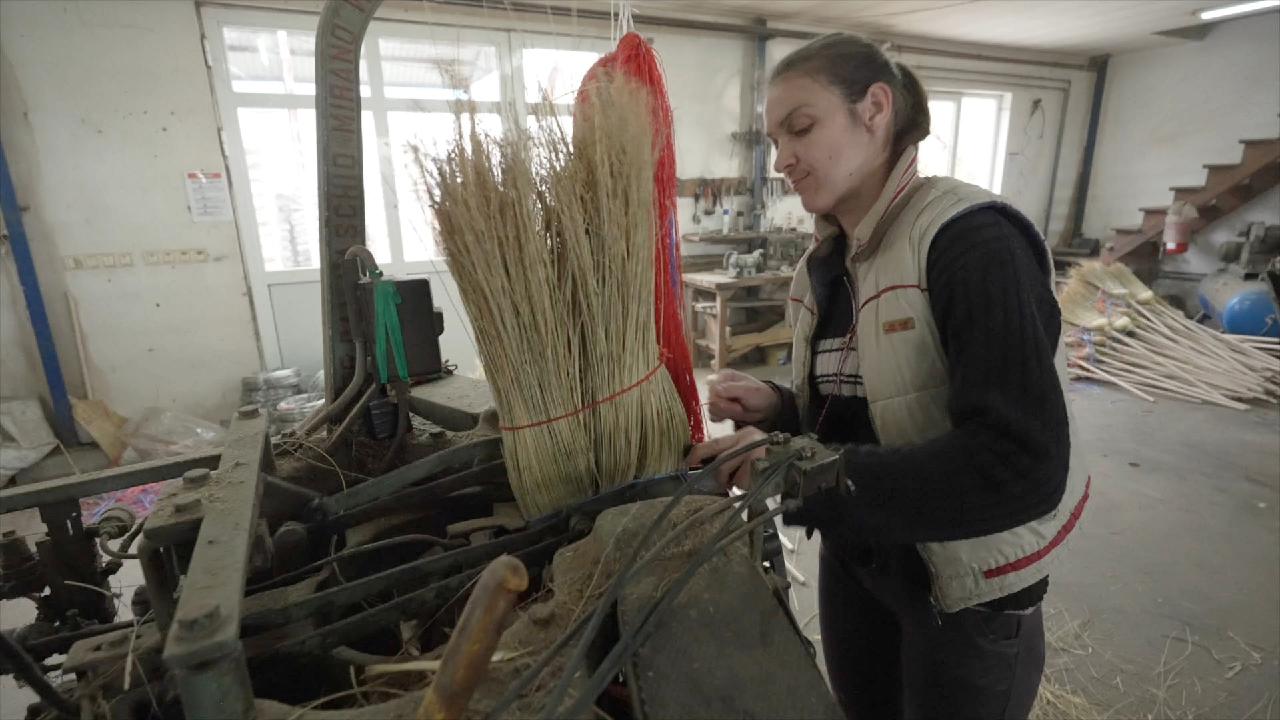 Serbia's sustainable sorghum brooms sweep through European markets