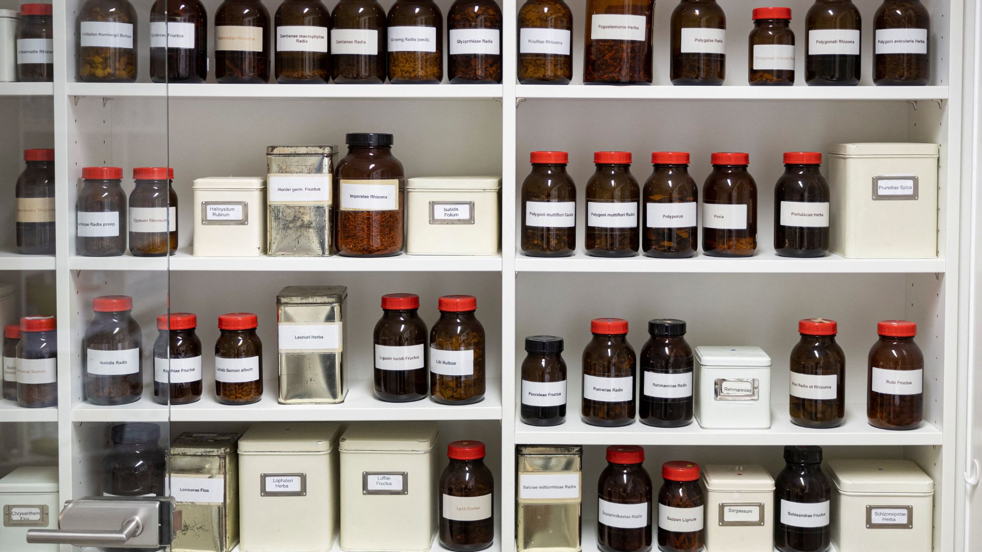 Ingredients for Traditional Chinese Medicine on a pharmacy shelf in Augsburg, Germany. /Lukas Barth/Reuters
