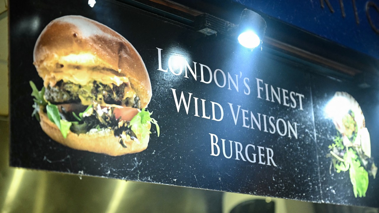 As climate change concerns mount, some catering services are turning to deer meat as a low-carbon alternative to farmed livestock like beef. /Justin Tallis/AFP